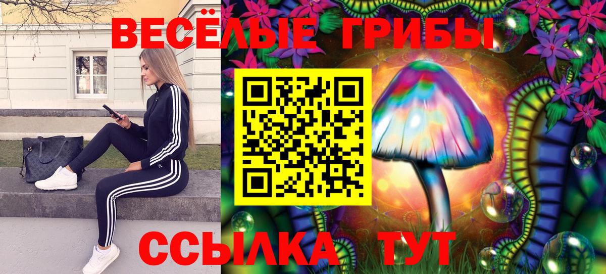Псилоцибиновые грибы Magic Shrooms  Вход с VPN  Галлюциногенные грибы Psilocybe  Сальск 